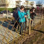 Atelier saules tressés au jardin des Poteries à Strasbourg (67)