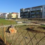 Atelier saules tressés au jardin des Poteries à Strasbourg (67)