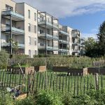 La visite des jardins Gaia Florentina aux Poteries dans le cadre des Journées de l'Architecture